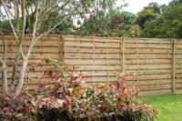 Forest Garden 1.8m x 1.5m Pressure Treated Decorative Europa Plain Fence Panel - Pack of 3